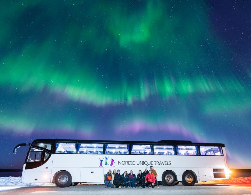 Rovaniemi: Hunting Northern Lights Bus Tour - Key highlights to know before you go