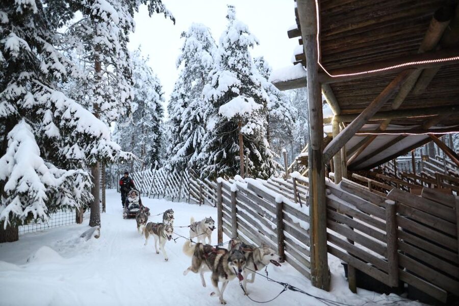Rovaniemi: Husky and reindeer farm visit with sleigh rides - Husky sled rides: what “included” means by date
