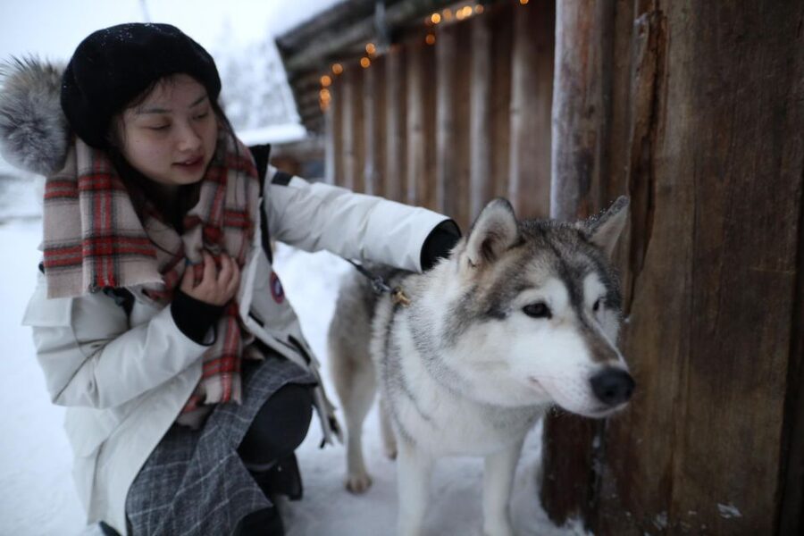Rovaniemi: Husky and reindeer farm visit with sleigh rides - Who should book this Rovaniemi husky and reindeer tour