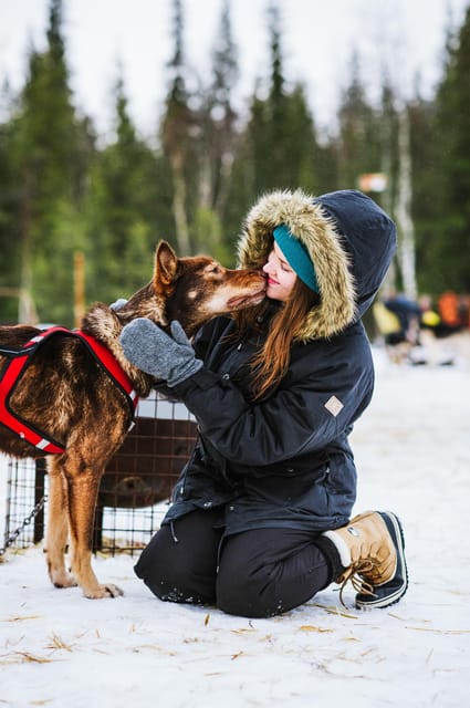 Rovaniemi: Husky and Reindeer farm with sleigh ride - The reindeer sled ride: a traditional ride through quiet snow