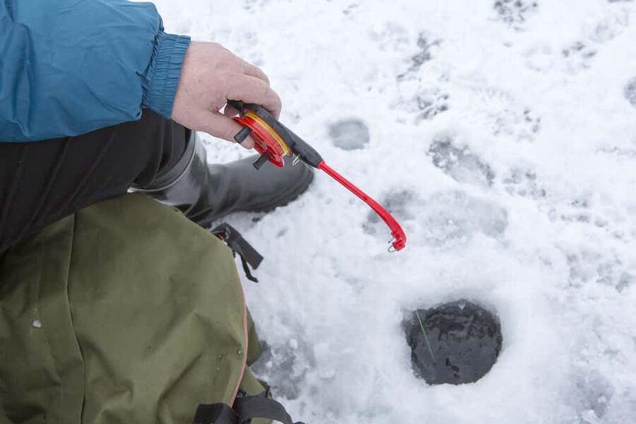 Rovaniemi: Husky and Reindeer Ride with Ice Fishing - Key highlights in plain English