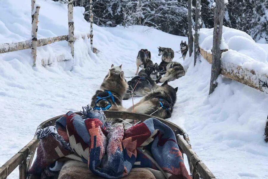 Rovaniemi: Husky Experience and Sled Ride with Pro Photos - Getting There and Getting Dressed for Lapland Cold