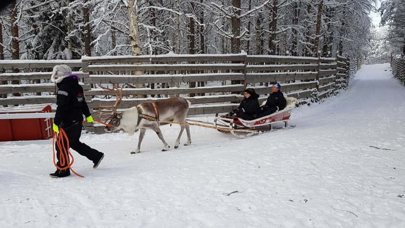 Rovaniemi: Husky Farm and Reindeer Experience - Timing, temperature, and why the schedule can feel tight