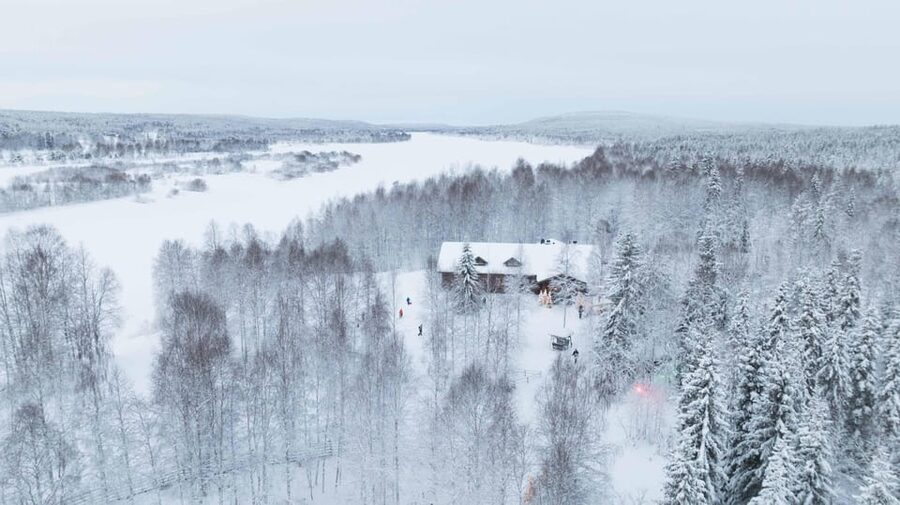 Rovaniemi: Husky Farm Visit with a Sledge Ride - Price and value: what $122 buys in a cold-weather world