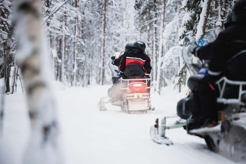 Rovaniemi: Husky & Reindeer Experience with Snowmobile Ride - Husky Sleigh Ride: Energetic, Fun, and Brief