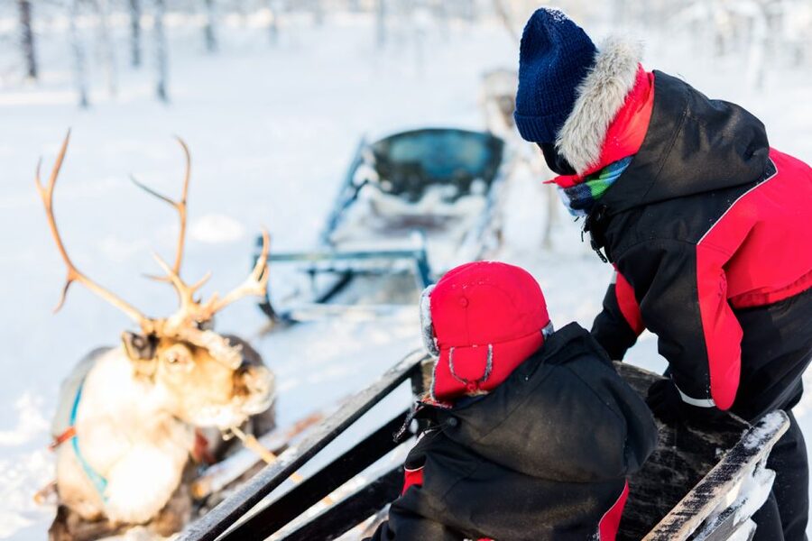 Rovaniemi: Husky & Reindeer Experience with Snowmobile Ride - Food, Breaks, and Why You Might Still Get Hungry