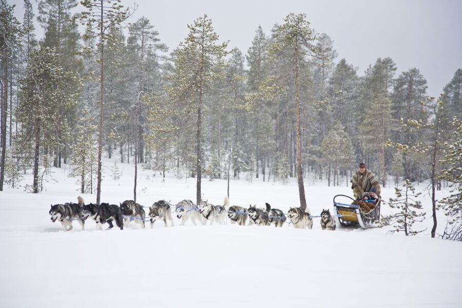 Rovaniemi: Husky & Reindeer Experience with Snowmobile Ride - Price and Value: Why This Combo Often Makes Sense at $233