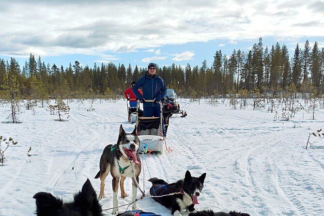 Rovaniemi Husky Safari - Self Drive Adventure 6-10km + BBQ - Key things to know before you go