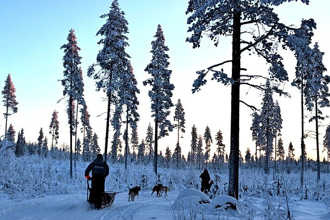 Rovaniemi Husky Safari - Self Drive Adventure 6-10km + BBQ - Pickup and meeting point: how to find the right van fast