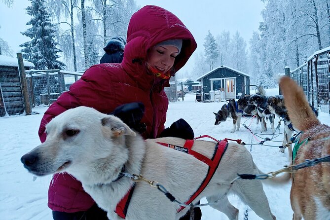 Rovaniemi Husky Safari - Self Drive Adventure 6-10km + BBQ - The 6 to 10 km husky safari: quiet forest glide plus real exhilaration