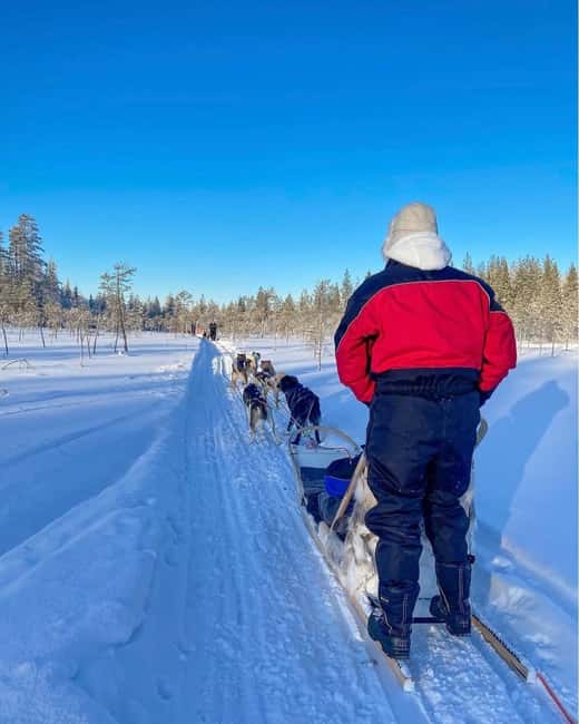 Rovaniemi: Husky Safari with Transfers & BBQ - Entering the Arctic with transfers that actually matter
