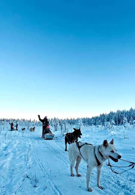Rovaniemi: Husky Safari with Transfers & BBQ - Getting dressed for cold that is real, not just chilly
