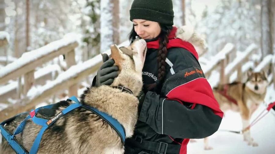 Rovaniemi: Husky Sled Ride and Farm Visit - The 2-Hour Time Budget: What You Get (and Why It Works)