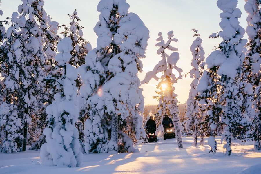 Rovaniemi: Ice Fishing & Snowmobile Safari Combo Day - Polar Bear Chance, and How to Think About Wildlife Tours