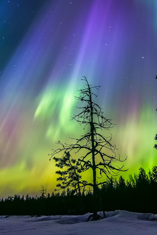 Rovaniemi: Ice Floating in Forest Lake with Aurora Borealis - Why the hot drinks and gingerbread are part of the experience