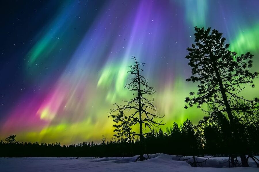 Rovaniemi: Ice Floating in Forest Lake with Aurora Borealis - Price and value: does $115 make sense for Lapland nights?