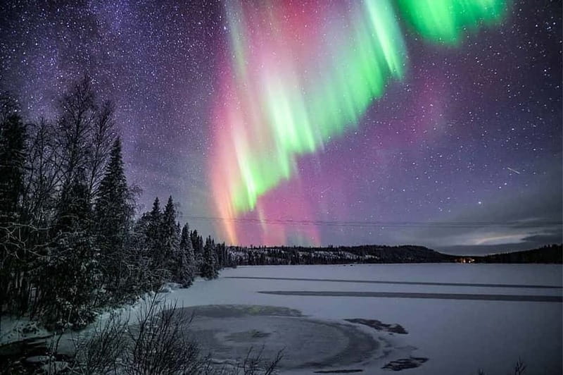 Rovaniemi: Ice Floating in Forest Lake with Aurora Borealis - Guides and group vibe: what repeatedly earns praise