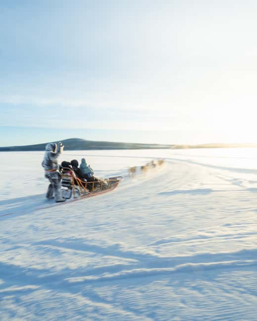 Rovaniemi: Insider 10 km Husky Sled Ride - Kota Return and Extra Husky Time: More Than a One-and-Done Ride