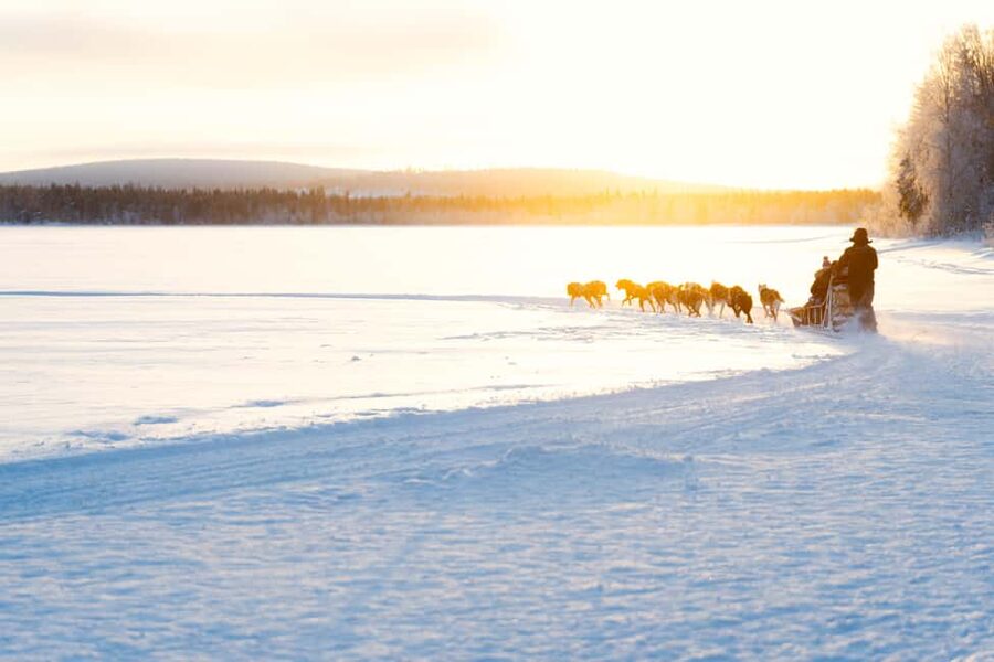 Rovaniemi: Insider 10 km Husky Sled Ride - Thermal Gear and Kota Warm-Up: Comfort at Arctic Temperatures