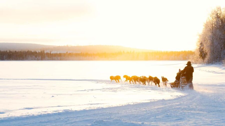 Rovaniemi: Insider 5km Husky Self Drive Tour - The real hook: you drive your own sled through Lapland