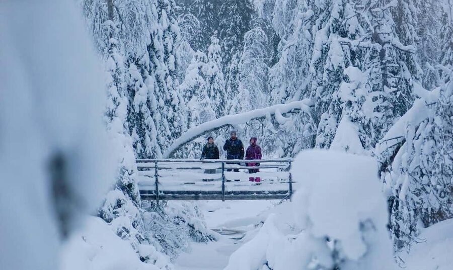Rovaniemi: Korouoma Canyon and Frozen Waterfalls Tour - Campfire warmth and Lappish-style barbecue snacks