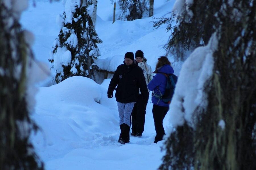 Rovaniemi: Korouoma Canyon Frozen Waterfalls Guided Hike - Ice formations and what the guide helps you notice