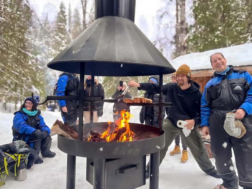 Rovaniemi: Korouoma Canyon Frozen Waterfalls Hike & BBQ - Who This Tour Suits Best in Lapland