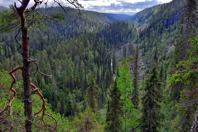 Rovaniemi Korouoma Canyon Hike and Barbecue Experience - Key highlights you will actually care about