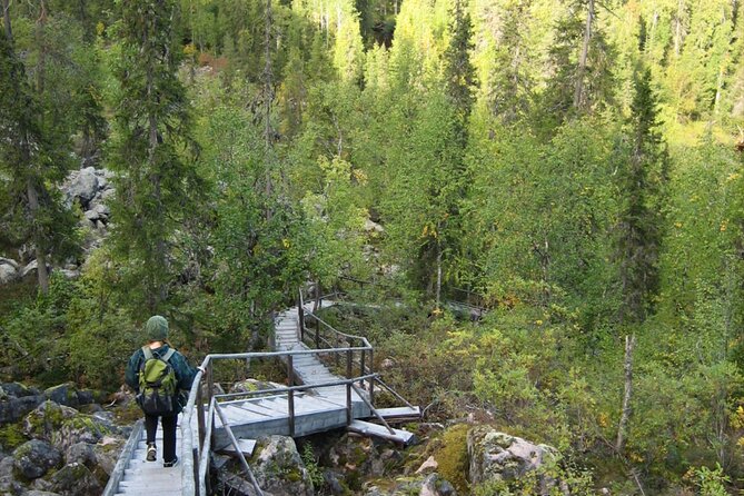 Rovaniemi Korouoma Canyon Hike and Barbecue Experience - Korouoma Canyon views: why this hike feels like a winter postcard