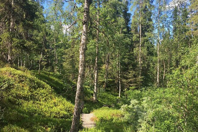 Rovaniemi Korouoma Canyon Hike and Barbecue Experience - Pickup, timing, and the 9:00 am start that keeps the day smooth