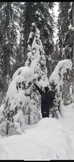 Rovaniemi: Korouoma Frozen Waterfalls Hike & Hot BBQ Lunch - Why Korouoma Canyon’s frozen waterfalls are so special from Rovaniemi