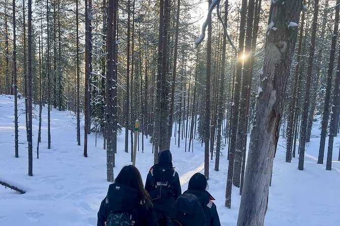 Rovaniemi: Korouoma Frozen Waterfalls Hike with Hot BBQ Lunch - The Hike Itself: About 5 Kilometers, Icy Footing, and Guide Safety