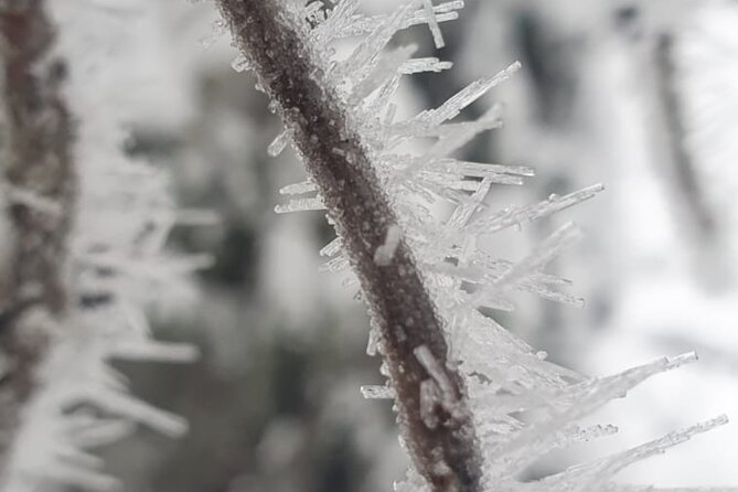 Rovaniemi: Korouoma Frozen Waterfalls Hike with Hot BBQ Lunch - Your Guide: Why Mirco Often Makes the Day Better