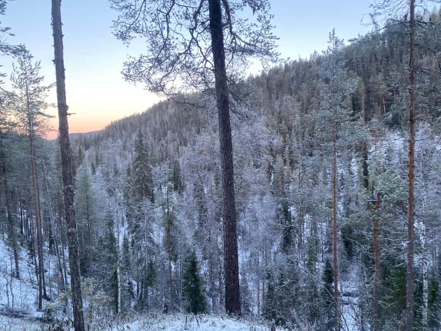 Rovaniemi: Korouoma Wilderness Café’s Icefall Tour and Lunch - Key Points I’d Prioritize Before You Go