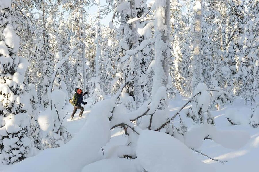 Rovaniemi: Korouoma Wilderness Café’s Icefall Tour and Lunch - Cold Ice, Warm Stops: What the 8 Hours Actually Feel Like