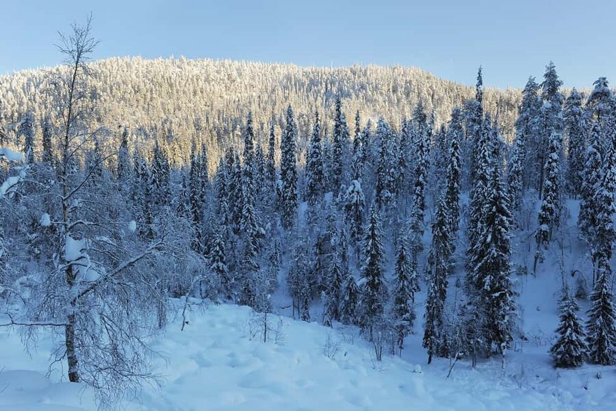 Rovaniemi: Korouoma Wilderness Café’s Icefall Tour and Lunch - The Canyon Walk: Frozen Falls and Local Stories You Can’t Google