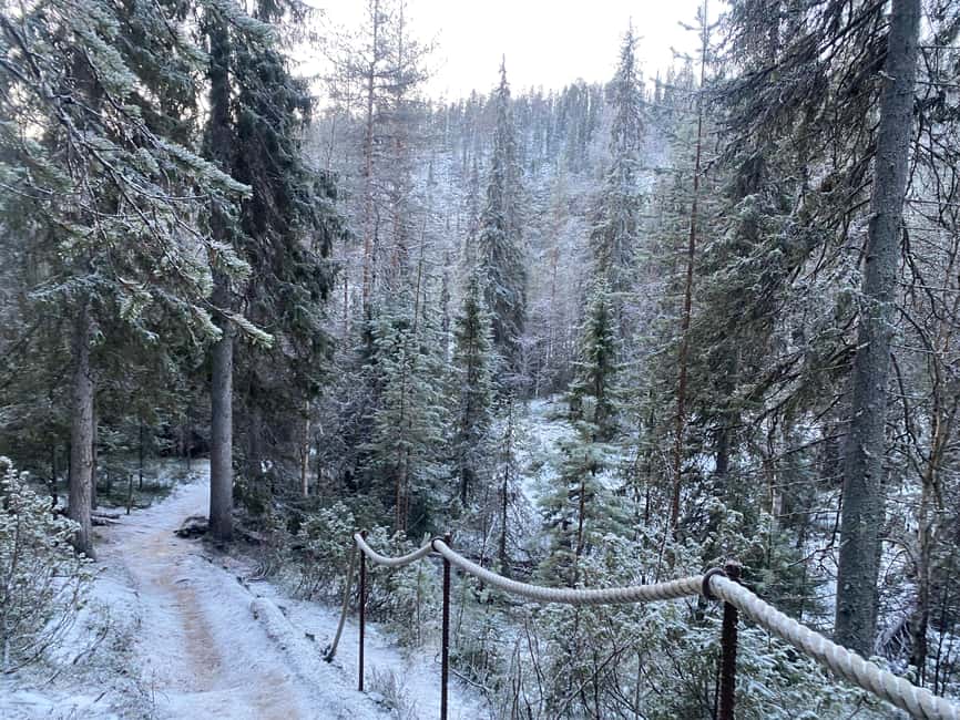 Rovaniemi: Korouoma Wilderness Café’s Icefall Tour and Lunch - Price and Value: What You’re Paying For at $175