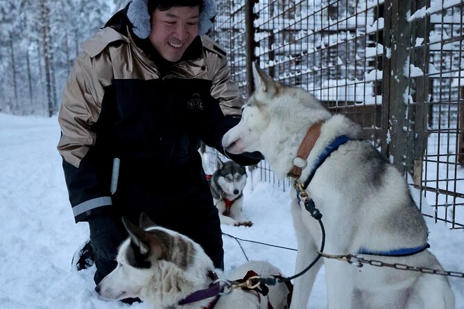 Rovaniemi Lapland Husky Experience 5km - How long the whole day feels: 3 hours on the clock, cold patience in real life