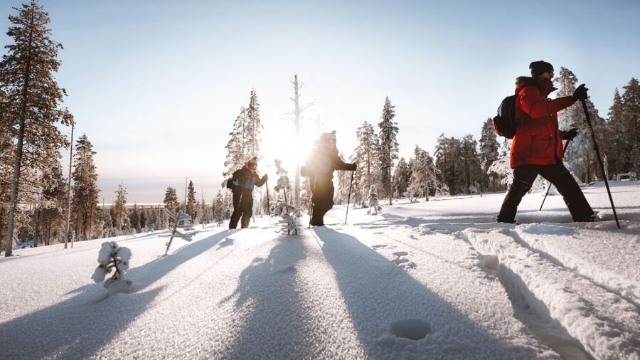 Rovaniemi: Lapland Ski Trekking Safari - Key things to know before you go