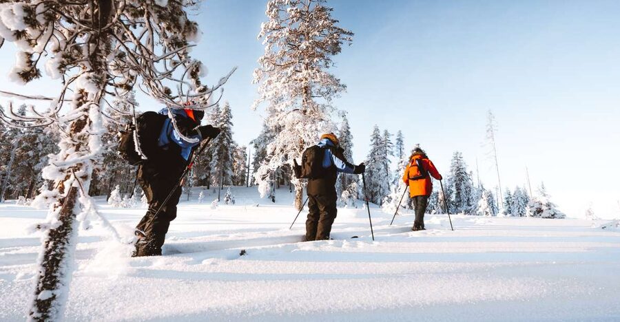 Rovaniemi: Lapland Ski Trekking Safari - Price and Value: What $128 Covers and Why It Adds Up