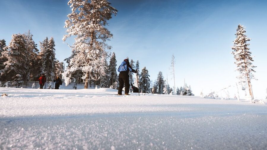 Rovaniemi: Lapland Ski Trekking Safari - The Gear Moment: Skis, Boots, and a Winter Snowsuit