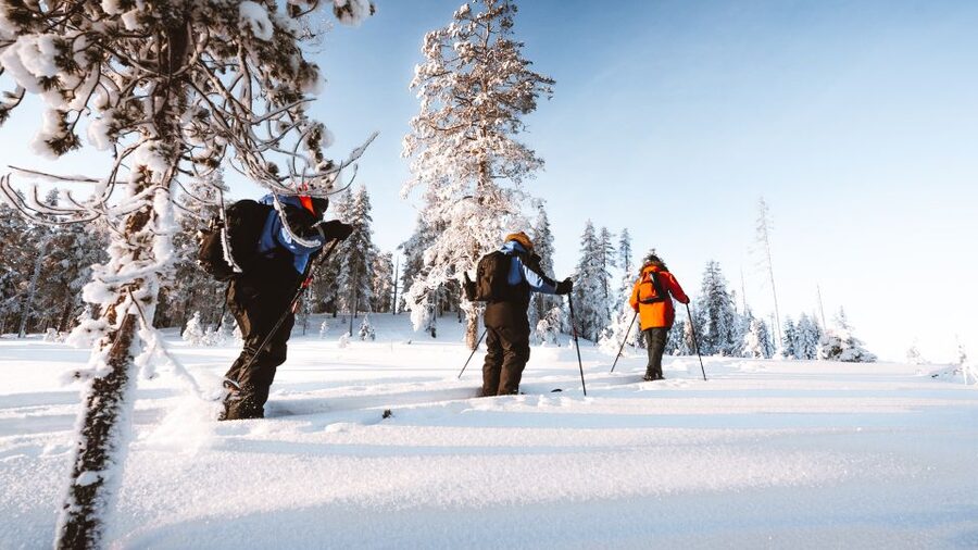 Rovaniemi: Lapland Ski Trekking Safari - Learning Back-Country Technique Without Feeling Lost