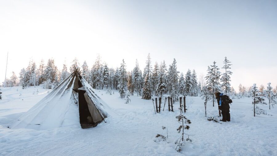 Rovaniemi: Lapland Ski Trekking Safari - The Taiga Forest Trek, and Why Your Guide Chooses the Route