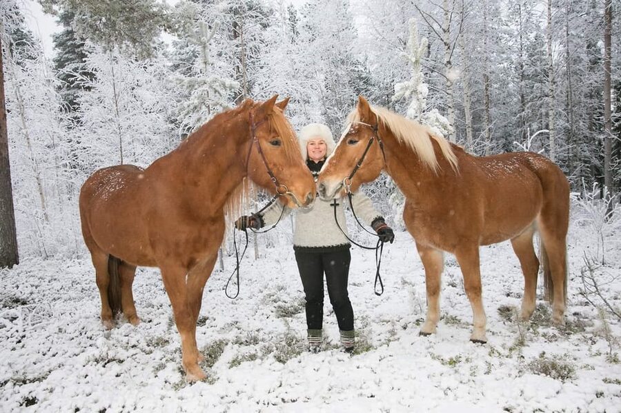 Rovaniemi: Late Night Ride with Finnhorses - Key things you should know before the ride