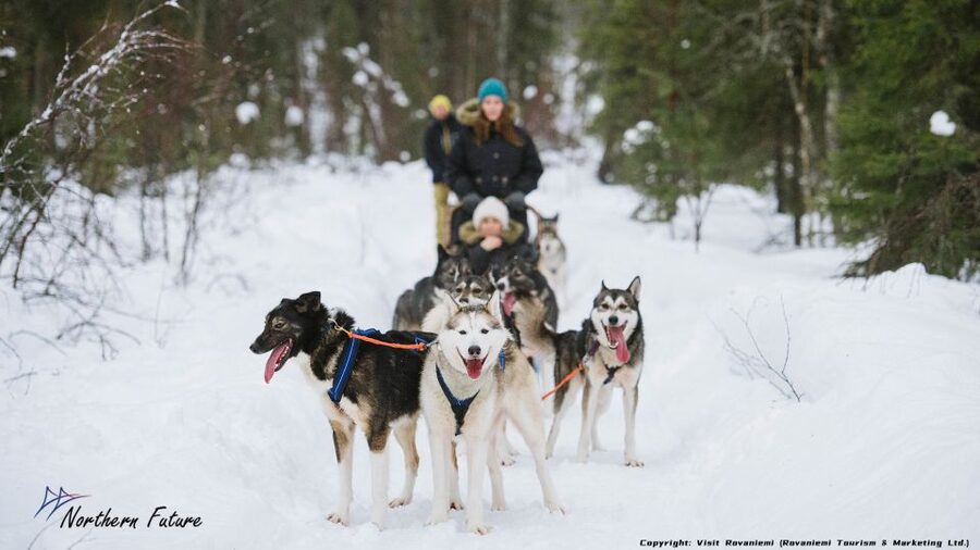 Rovaniemi: Meet Santa Claus, Reindeer Sleigh Ride & Huskies - Santa Claus Village With an Actual Game Plan