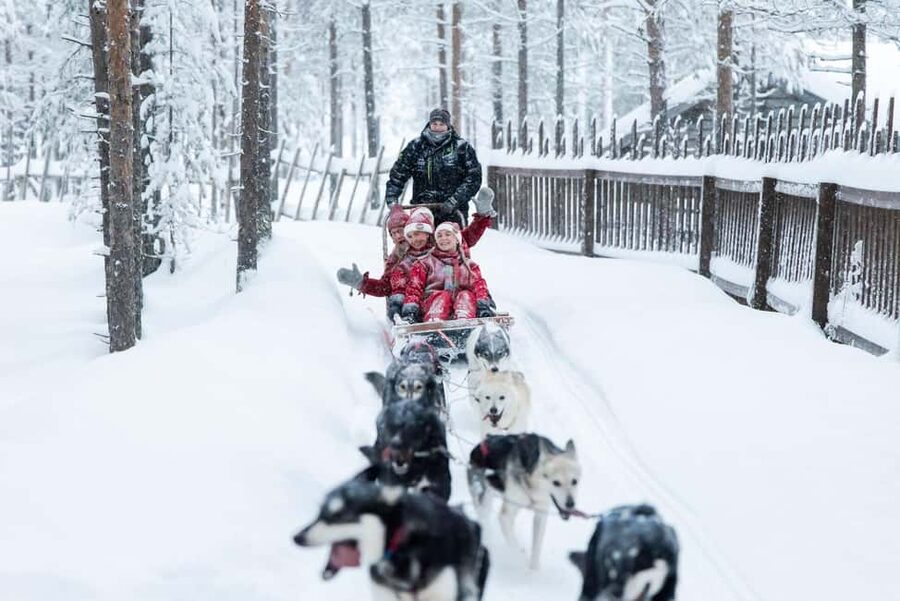 Rovaniemi: Meet Santa's Most Trusted Husky Dogs - Key Things You Should Know Before You Go