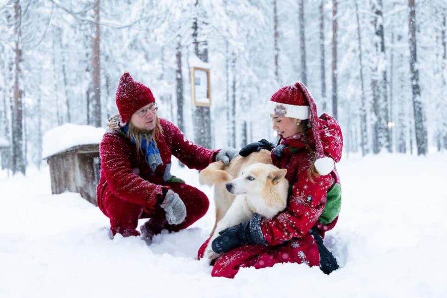 Rovaniemi: Meet Santa's Most Trusted Husky Dogs - Two Guided Stops at the Husky Farm: Learning First, Then Meeting the Dogs