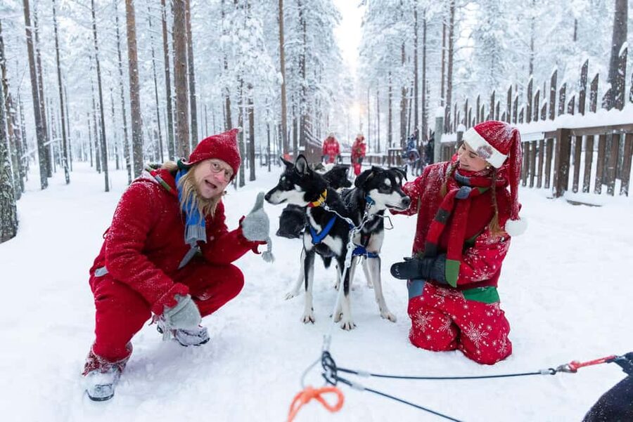 Rovaniemi: Meet Santa's Most Trusted Husky Dogs - How This 1.5 Hour Tour Actually Flows (No Wasted Time)