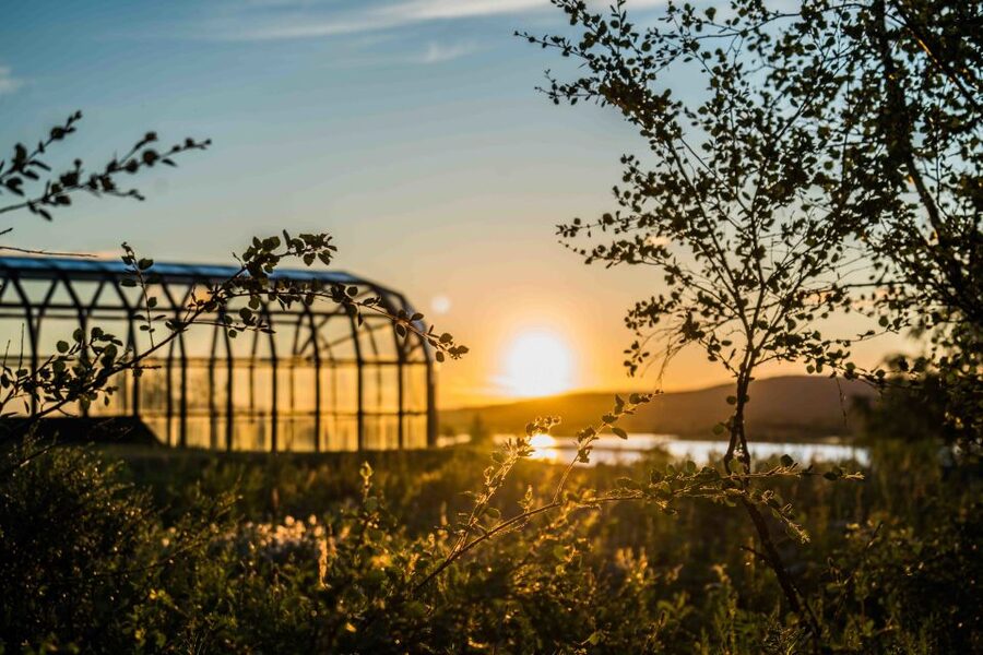 Rovaniemi: Midnight Sun Photography Tour - Who Should Book This Tour (and Who Might Skip It)