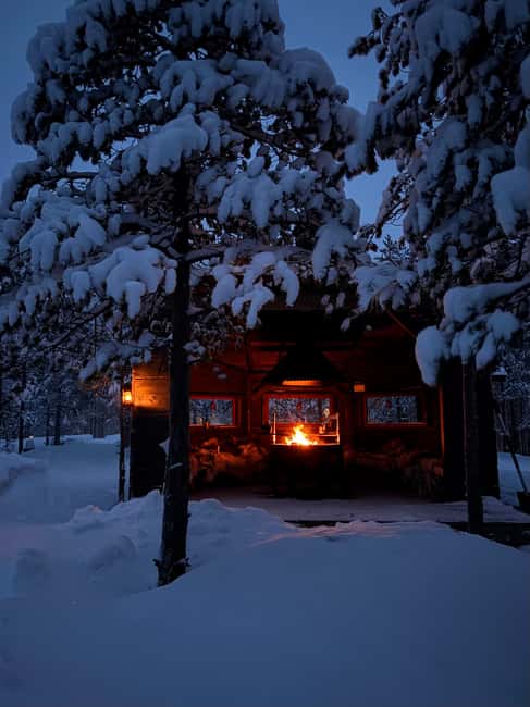 Rovaniemi: Mystical Lapland Forest Entry Ticket - Entering a Lit Lapland Forest in Rovaniemi